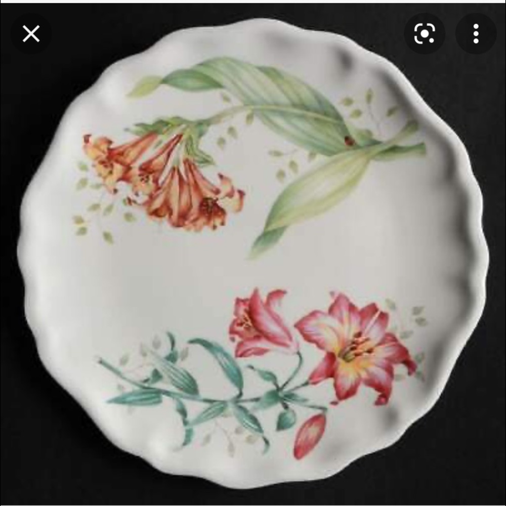 New Lennox Butterfly Meadow Melamine Plates
